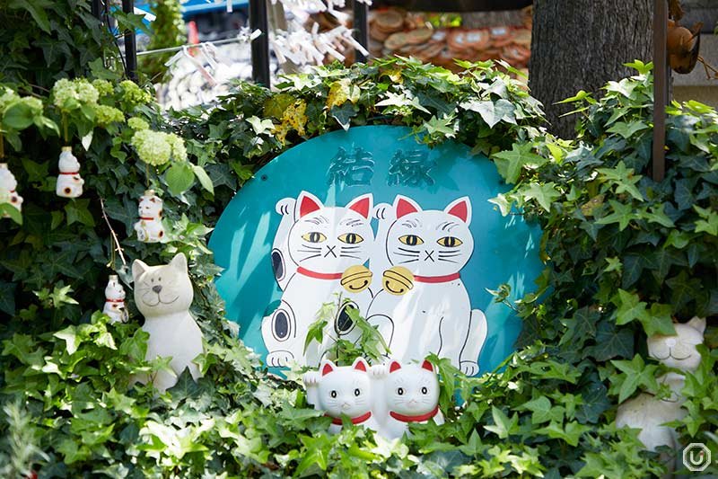 ⛩️ 이마도 신사(今戸神社) 이미지 5